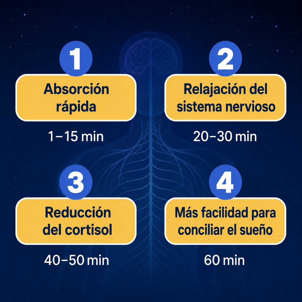 Tiras para dormir solubles AVZI